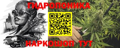 spice Гусь-Хрустальный