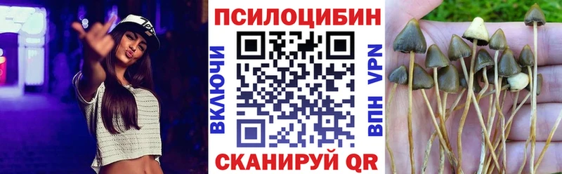 купить закладку  Донской  Галлюциногенные грибы Cubensis 