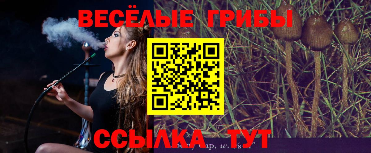 Псилоцибиновые грибы Magic Shrooms Донской